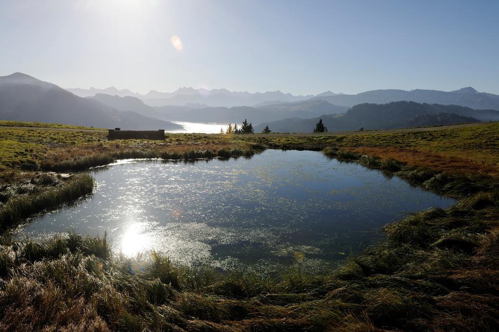 Hubertus Mountain Refugio Allgaeu Balderschwang Luaran gambar